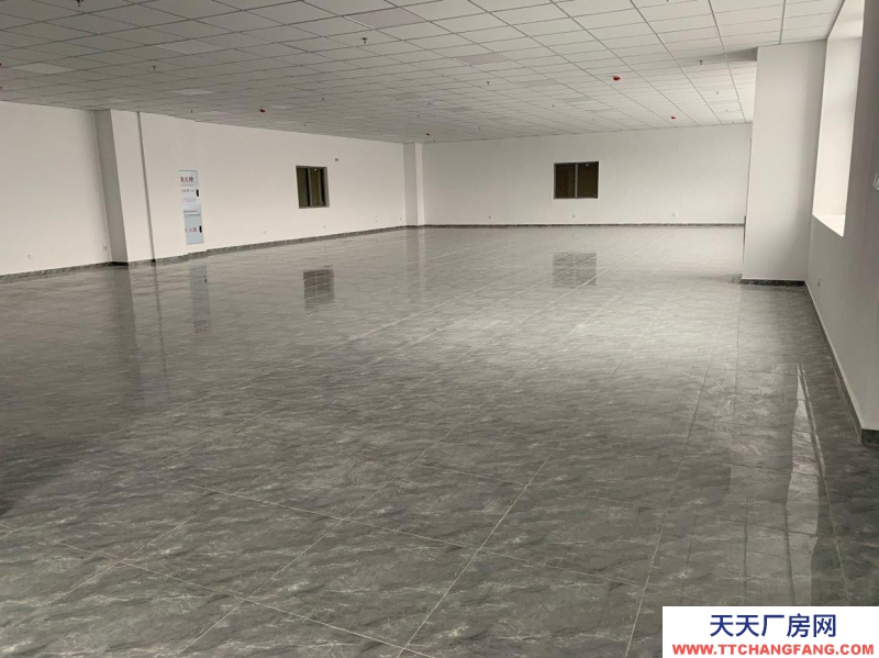 重庆北碚新建标准厂房，库房出租5万平，可分