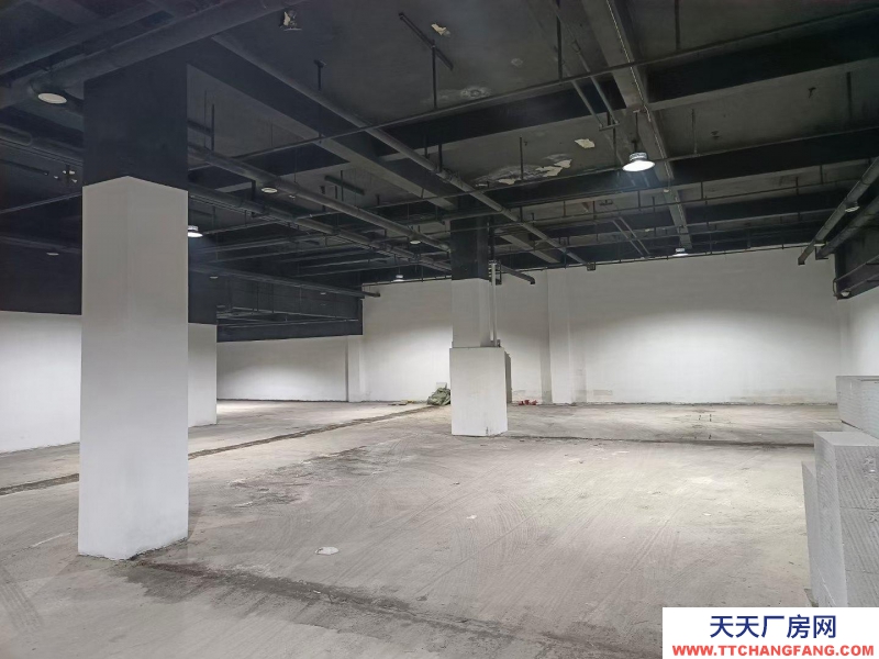 济南历下公司直租无中介，龙鼎大道旁