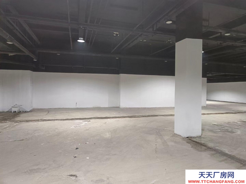 济南历下公司直租无中介，龙鼎大道旁