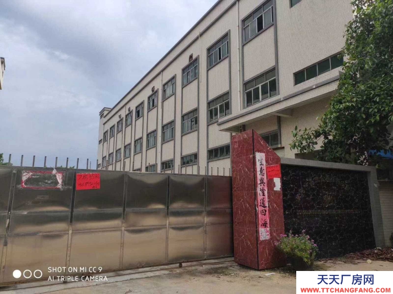 (出租)越秀五羊新城280平方招租现成装修价格便宜