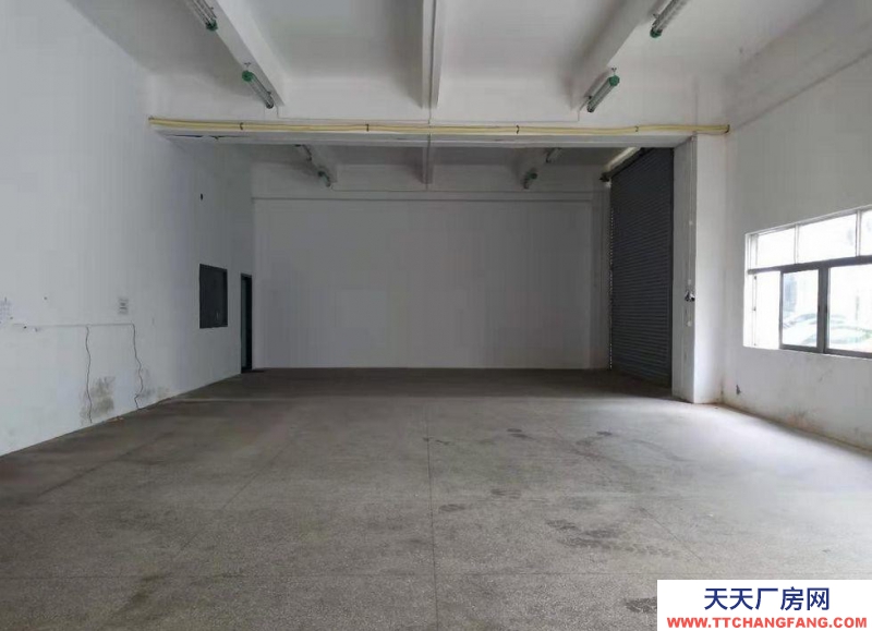 (出租) 越秀东湖一楼200平方出租