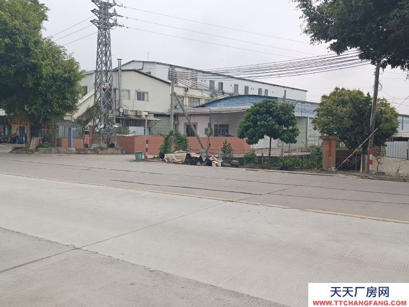 (出租) 番禺独门独户中高16米630专变可办环评挂车出入方便