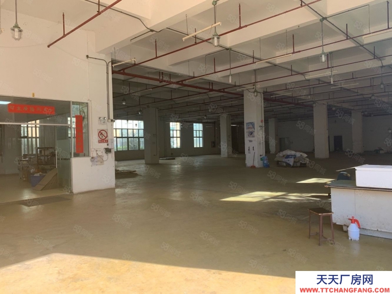 (出租) 番禺独院厂房7500平方出租 证件齐全 可办环评 市政管网