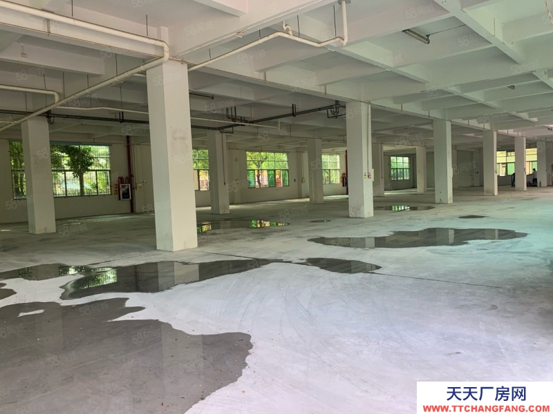 (出租) 番禺地铁口电商 贸易 办公920方1275平至8500平厂房出租