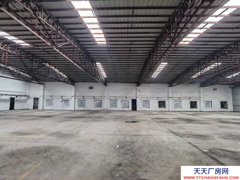 (出租) 番禺区石基单一层厂房，仓库1000平招租，层高8米