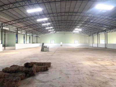 (出租) 番禺市桥镇简易厂房仓库出租3500方，配电大，好进出，可分租，空地大图2