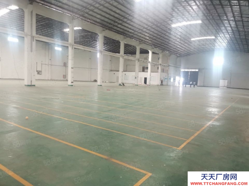(出租)番禺广州南站附近仓库出租4560方，独门独院，砖墙到顶，空地大