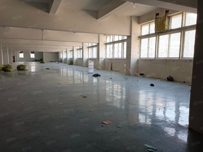 杭州滨江中小型精装淘宝仓储，光线通透，位置好200方起租，层高5米图2
