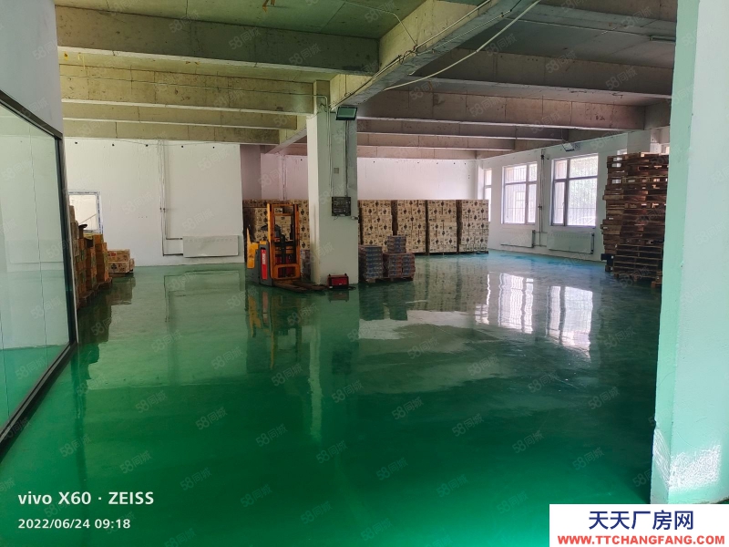 (出租) 铁西独栋厂房1125平 全新地坪漆办公隔断 科研办公仓库加工