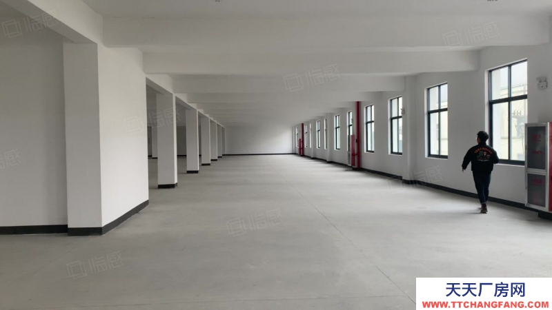 杭州滨江(出租) 大美湘湖仓库出租大小面积都可选，欢迎各大电商老板参观入驻