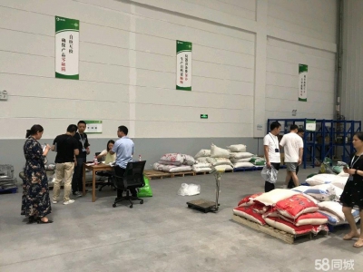 重庆璧山低温冻库各面积各档次出租图1