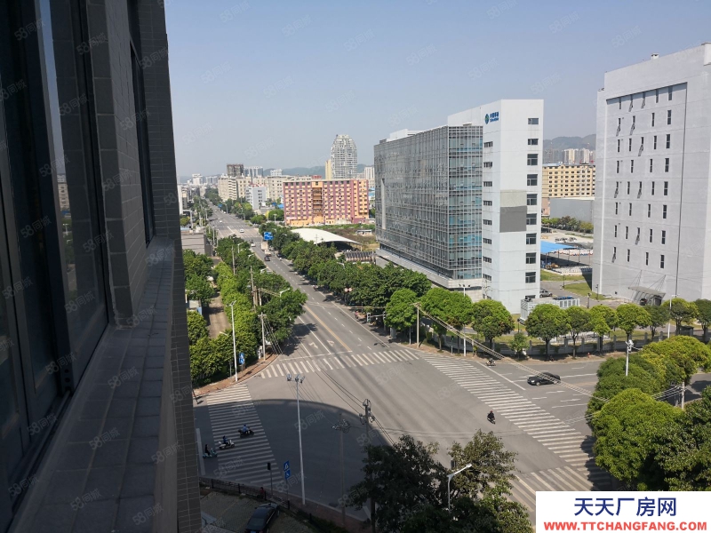 南宁市西乡塘区出租全新标准厂房仓库，500平起，可租可售，有一楼！有补贴