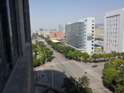 南宁市西乡塘区出租全新标准厂房仓库，500平起，可租可售，有一楼！有补贴图3