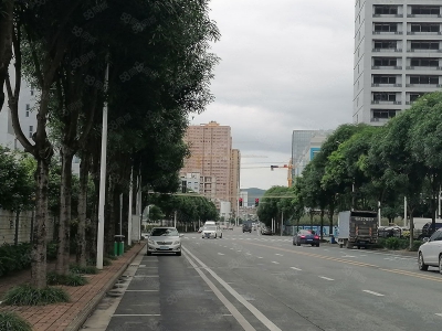 南宁市西乡塘区出租全新标准厂房仓库，500平起，可租可售，有一楼！有补贴图4