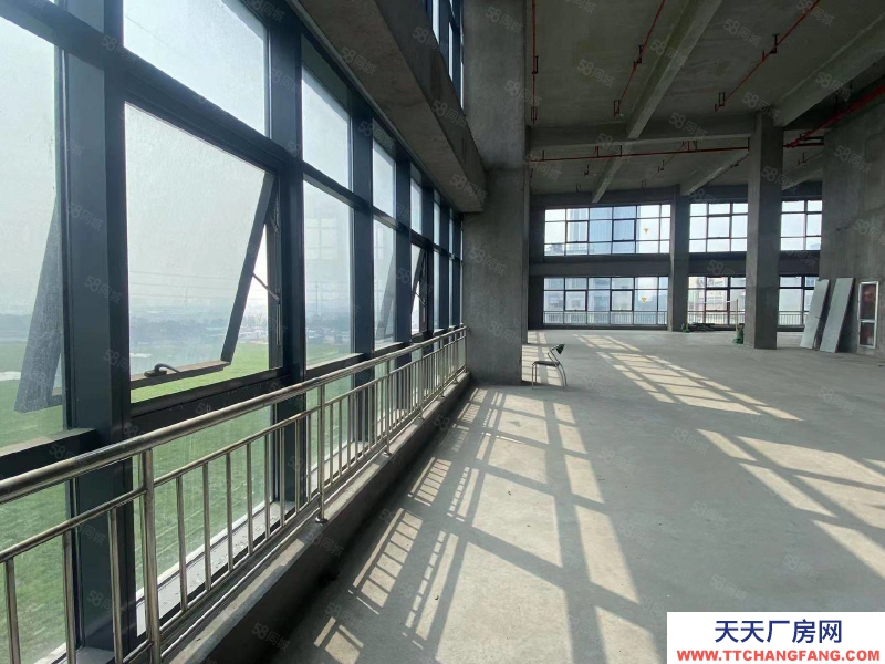杭州滨江生物医药园区5000方，招生物研发医疗器械测试