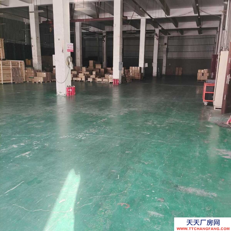 铁西50至2000平标准仓库出租（按需分割）中央大街五号