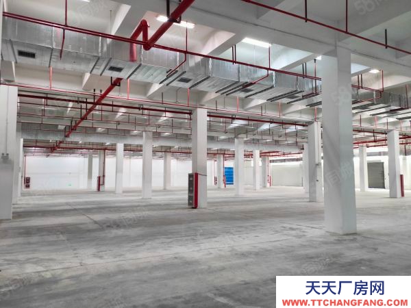 南京市江宁区(出租) 众彩物流3000平。丙类消防，可以分租