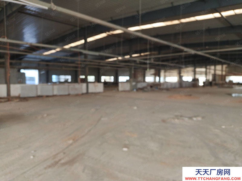 (出租) 铁西开发区工业大学附近库房4200平出租彩钢结构可分一半