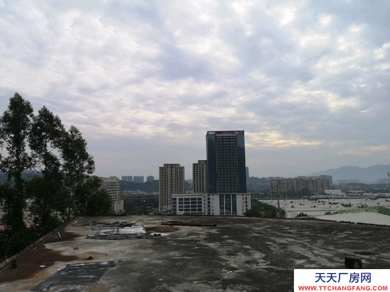 (出租) 房屋及空地出租地址永丰枢纽三环互通口边上