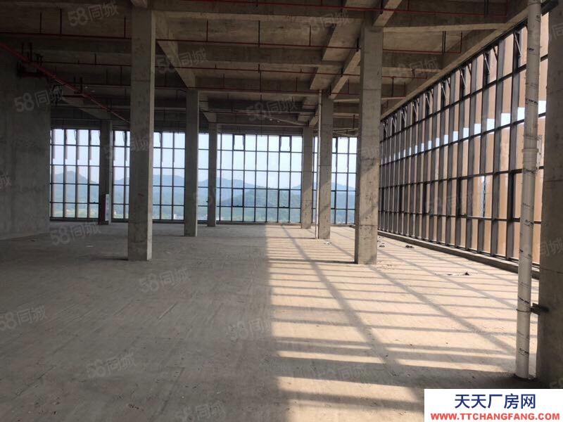 杭州滨江(出租) 整层2000方层高6米可分割，适合创意设计摄影企业