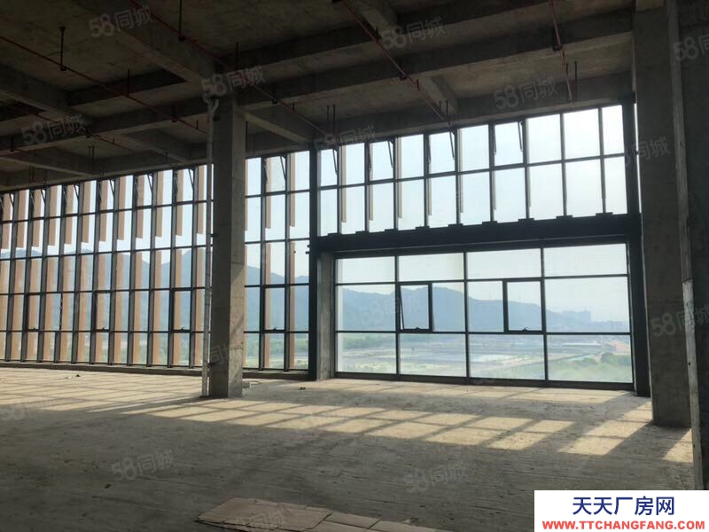 杭州滨江(出租) 整层2000方层高6米可分割，适合创意设计摄影企业