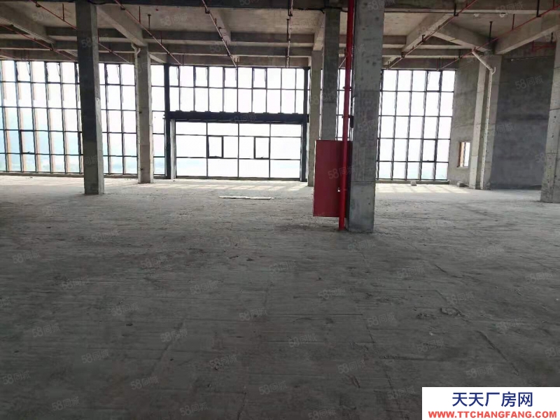杭州滨江(出租) 整层2000方层高6米可分割，适合创意设计摄影企业