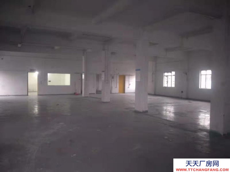 (出租) 海珠新港东路杨青村650平方仓库租
