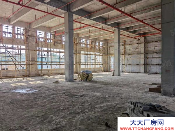 南京市江宁区花园式独栋，单层可出售，两证齐全，现房交付。