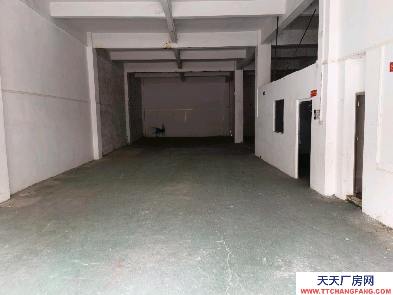 (出租) 广州海珠区仓库方正好用没有管理费
