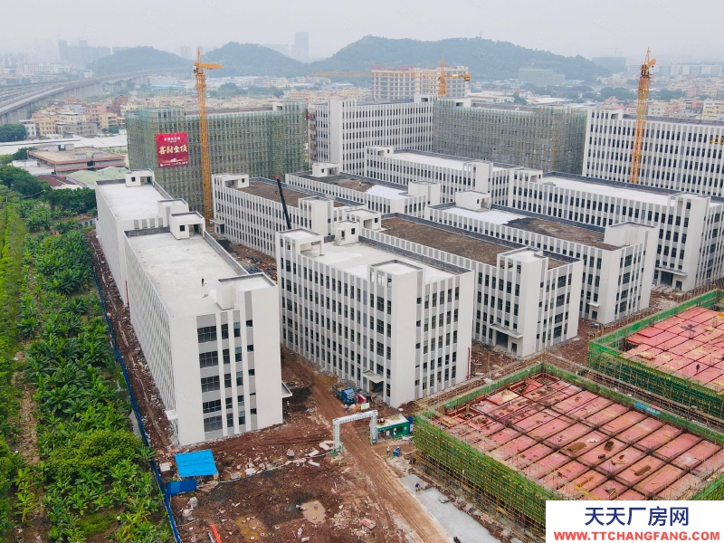 (出售) 独栋4600方，现楼！国有工业产权厂房 南站6公里