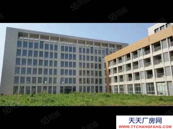 南京市江宁区高淳经济开发区土地43亩2.9万平标准厂房出售5500万