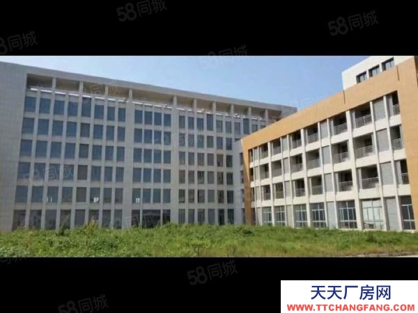 南京市江宁区高淳经济开发区土地43亩2.9万平标准厂房出售5500万