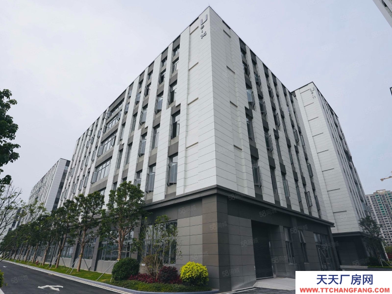 (出售) 海珠区厂房出售 全新1千平起独栋大平层 红本企业总部带车位