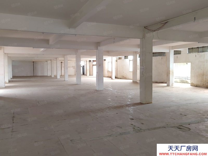 (出租) 花都区花城街独门独院2800方厂房仓库低价出租主干道旁边