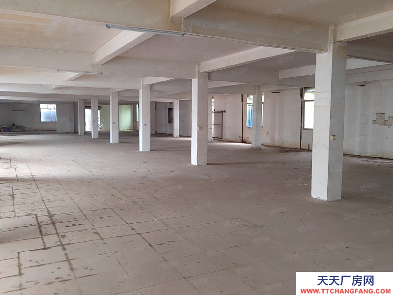 (出租) 花都区花城街独门独院2800方厂房仓库低价出租主干道旁边