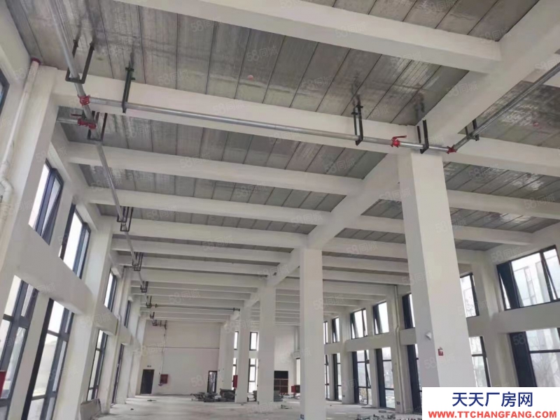 杭州滨江 核心产业园 小面积独立产权 经济实用