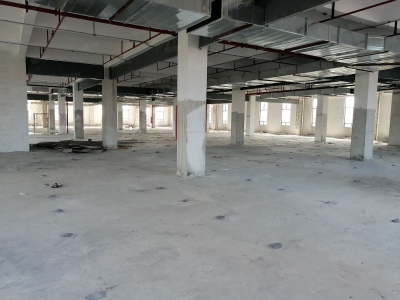 (出租) 花都区新雅街南阳庄独院标准厂房3500平方出租图1