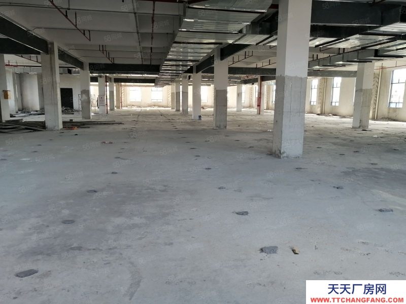 (出租) 花都区新雅街南阳庄独院标准厂房3500平方出租