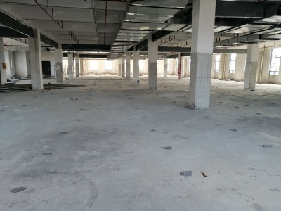 (出租) 花都区新雅街南阳庄独院标准厂房3500平方出租图2