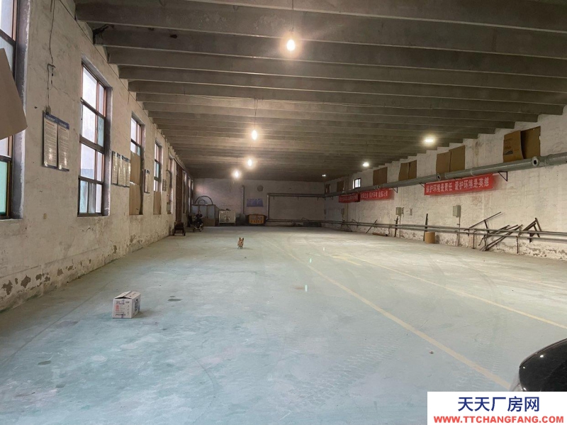 石家庄 正定南牛乡东贾村村东外环