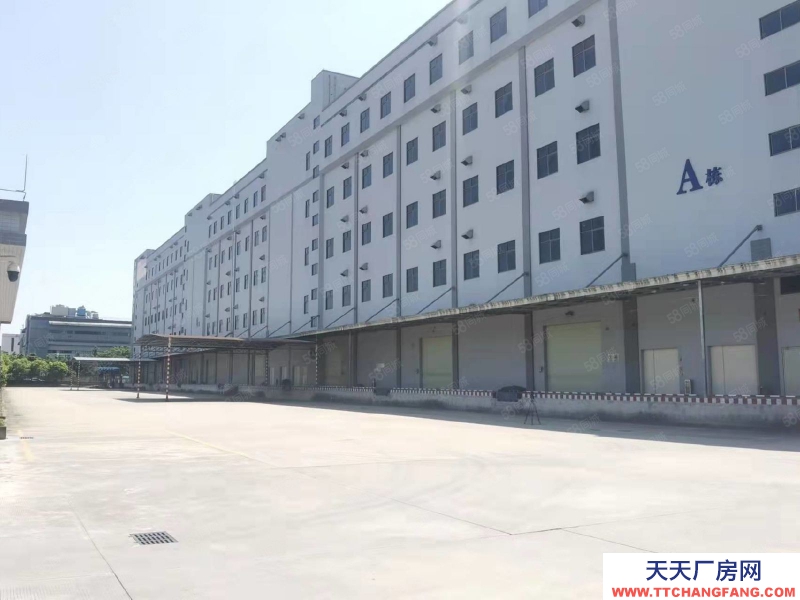(出租) 花都金谷北路厂房仓库低价出租