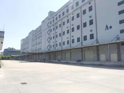 (出租) 花都金谷北路厂房仓库低价出租图1