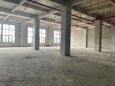 南宁市西乡塘区(出租) 科铭大厦全新标准厂房租售，价低，用途广泛图3