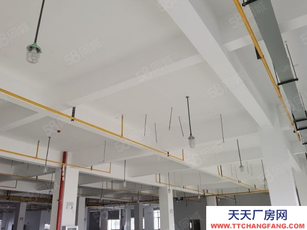 武汉汉阳(出租) 多层厂房2000至6000平，可按需分租，地段好，价格便宜。