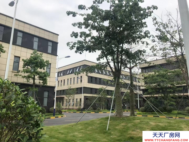 石家庄 正定自贸区 研发办公厂房 低首付比例 可办环评 地铁口