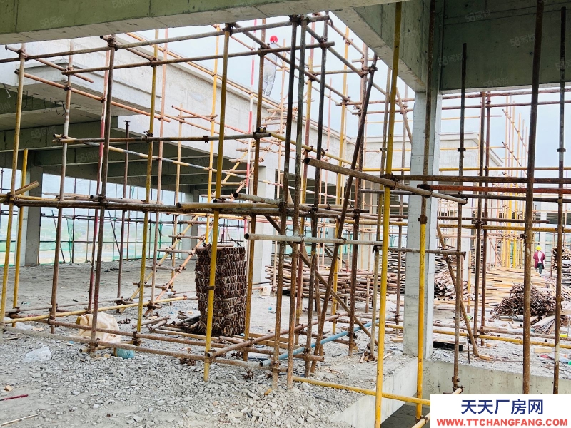 石家庄 正定自贸区 研发办公厂房 低首付比例 可办环评 地铁口