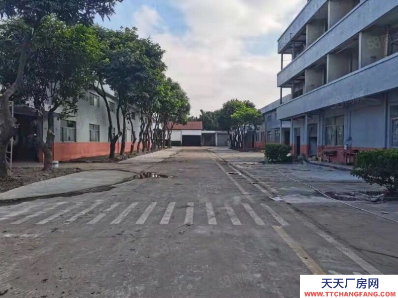 (出租) 花都区工业区厂房仓库空地大低价出租