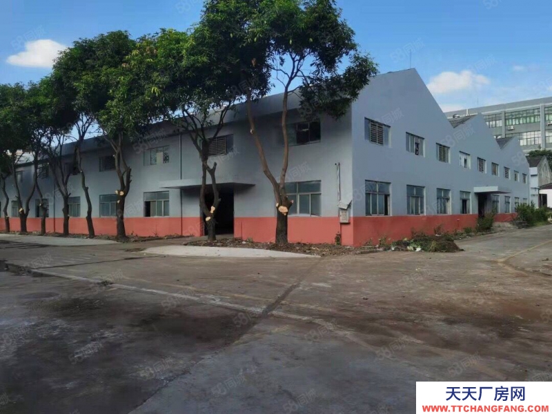 (出租) 花都区工业区厂房仓库空地大低价出租