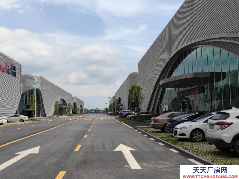 (出租) 花都花东新建全新12米高厂房仓库一千起租带装修带雨污分流排水