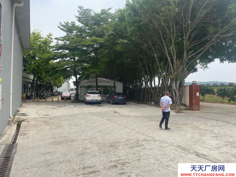 (出租) 花都狮岭镇金狮大道东单层仓库厂房，现低价转让出租